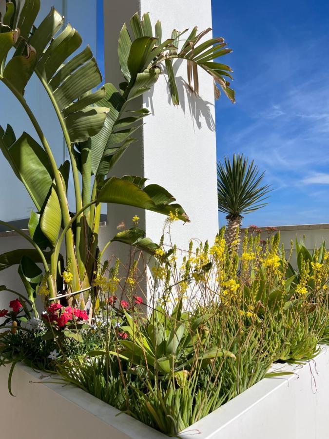 Sky Garden Locazione Turistica Διαμέρισμα Polignano a Mare Εξωτερικό φωτογραφία